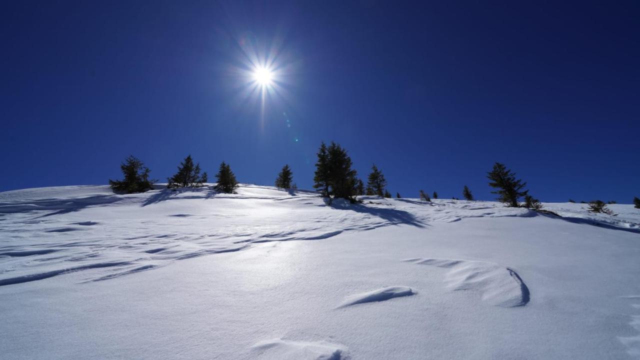 Kuhglueck Koralpe Villa Elsenbrunn Bagian luar foto