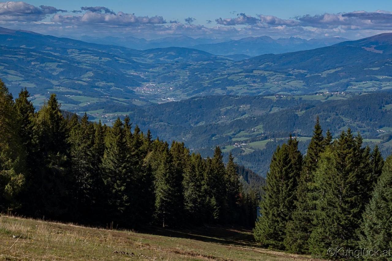 Kuhglueck Koralpe Villa Elsenbrunn Bagian luar foto